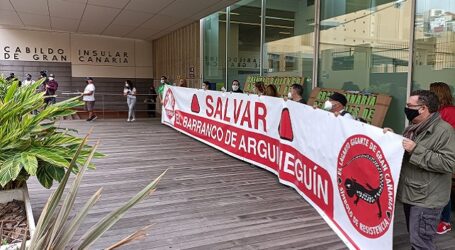 La Plataforma Salvar Chira-Soria despide el año manifestándose ante el Cabildo de Gran Canaria