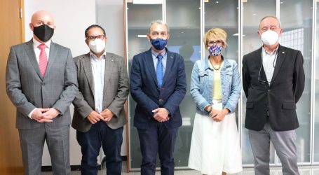 La abogacía canaria se reúne con la Consejera de Economía del Gobierno de Canarias