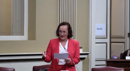 El PSOE impulsa una propuesta para garantizar la atención integral a menores en orfandad por violencia de género