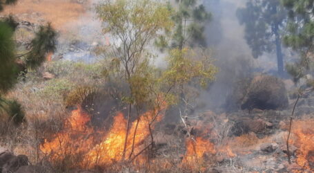 Los equipos de extinción logran estabilizar los flancos del incendio declarado en Mogán