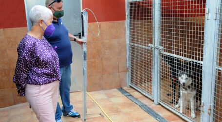 El Ayuntamiento ha puesto en marcha el servicio de recogida de animales callejeros y control de colonias de gatos