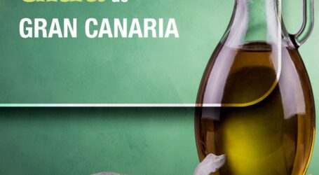 San Bartolomé de Tirajana será escenario del ‘VI Concurso oficial de aceite de oliva virgen extra de Gran Canaria’ para promocionar el cultivo del olivo en la Isla