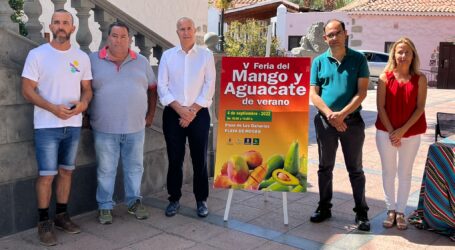 Mogán se prepara para celebrar la V Feria del Mango y del Aguacate de Verano