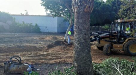 La Concejalía de Parques y Jardines construye un nuevo `Pipican´ en la Avenida Alejandro del Castillo