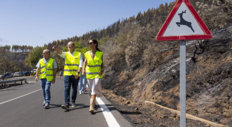El Cabildo de Gran Canaria cifra en 600.000 euros los daños causados por el incendio forestal en las carreteras de la Isla