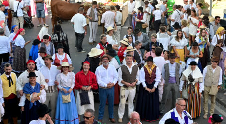 La carreta de Santa Lucía de Tirajana destaca en la Romería del Pino por poner en valor la cultura aborigen