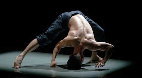 «MASDANZA ELLOS» un programa protagonizado exclusivamente por propuestas masculinas de danza contemporánea