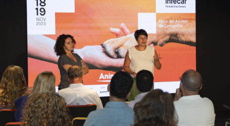 Animundo prepara su sexta edición con la colaboración de los ayuntamientos de la isla