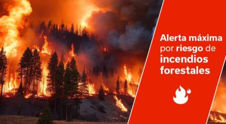 El Cabildo declara la alerta máxima por incendios forestales a partir de los 400 metros en el sur y de los 200 en el norte