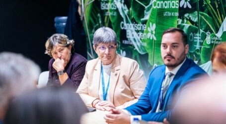 La Asociación de Municipios Turísticos de Canarias analiza en Londres los avances del sector