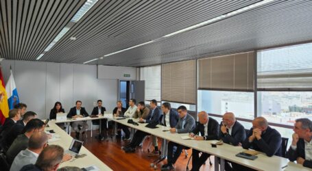 Transición Ecológica lidera la primera Mesa de Energía para buscar alianzas y avanzar en la descarbonización de Canarias