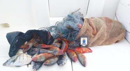 Inspección Pesquera intercepta en Tenerife 10,2 kg de pescado capturado por furtivos utilizando artes profesionales