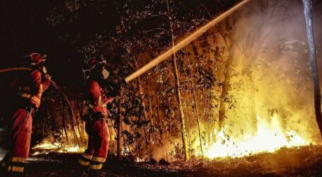 Canarias estudia medidas extraordinarias ante el elevado riesgo de incendios forestales