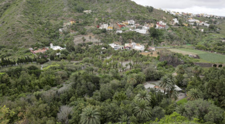 Gran Canaria licita por 315.000 euros la continuidad del servicio de atención al público durante las tardes y fines de semana en el Jardín Canario