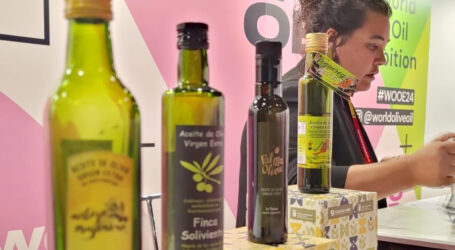 Canarias participa con sus mejores aceites en la World Olive Oil Exhibition en Madrid