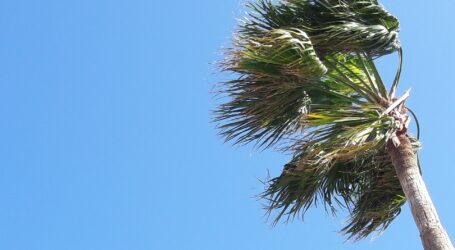 Canarias activa la prealerta por vientos en el archipiélago