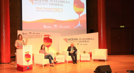 La Ruta del Vino de Gran Canaria en la Agenda Ecoisla 2030: sostenibilidad, economía y cultura