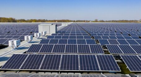Mogán aprueba la implantación de la primera planta de energía fotovoltaica