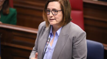 Canarias dedicará 8 millones a desarrollar sistemas alternativos de protección dirigidos a menores en riesgo