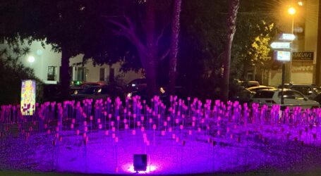 San Bartolomé de Tirajana se ilumina de violeta por la igualdad de la mujer