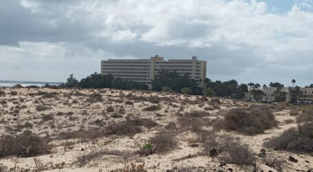 Drago Canarias denuncia presiones a los trabajadores del hotel Oliva Beach