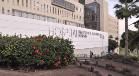 El servicio de Oftalmología del Hospital Dr. Negrín  alcanza su récord anual de trasplantes de córnea