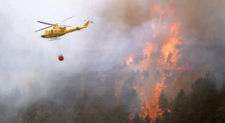 Las estrategias del uso de medios aéreos en la extinción de incendios, a debate en Gran Canaria