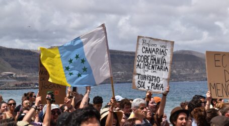 Los colectivos del 20A se concentran en apoyo a ‘Canarias se agota’