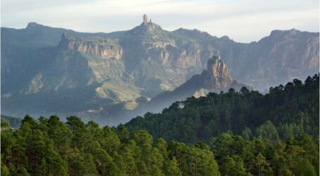 Transición Ecológica busca “poner en valor a la Red Canaria de Reservas de la Biosfera”