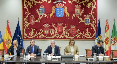 Gobierno y grupos parlamentarios de Canarias afianzan su alianza para lograr la distribución de los menores migrantes