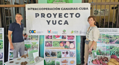 Canarias y Cuba cooperan en el proyecto “Yuca”