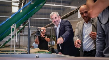 Canarias impulsará la unidad de todos los centros de investigación con sede en las islas para reforzar la ciencia canaria