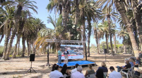 El Consorcio Maspalomas Gran Canaria acondiciona el paisaje del Oasis Palmeral con una inversión de seis millones de euros