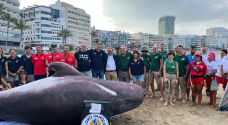 Loro Parque Fundación y el Cabildo colaboran para mejorar el rescate de cetáceos varados