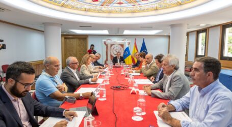 El Pacto Canario por la Inmigración respalda las medidas del Gobierno para responder a la emergencia migratoria