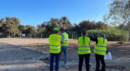 Técnicos del Consorcio Maspalomas Gran Canaria supervisan el avance de las obras en el Oasis Palmeral