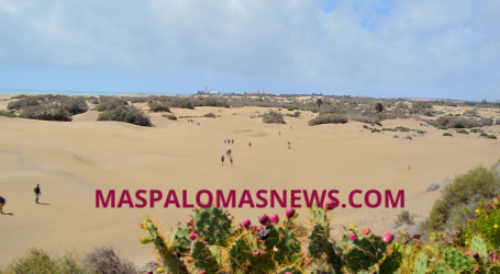 En San Bartolomé de Tirajana se espera un día con temperaturas moderadamente cálidas y cielos predominantemente despejados o ligeramente nubosos.