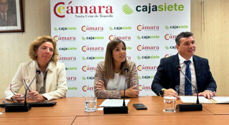 Canarias lidera el crecimiento en ventas del comercio minorista del país en los primeros nueve meses del año