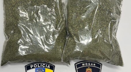 La Policía Local de Mogán detiene a un hombre sin carnet de conducir en un coche con más de medio kilo de marihuana