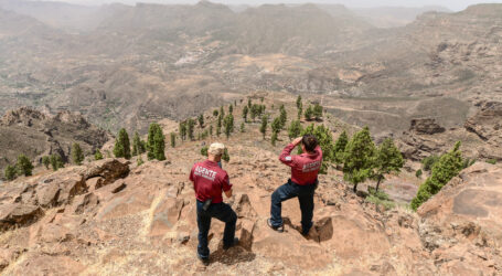 El Cabildo eleva a alerta máxima el nivel de riesgo por incendios forestales en Gran Canaria