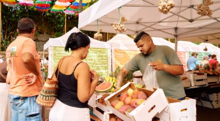 Fontanales brilló con la 31ª Feria Km.0 Gran Canaria bajo un techo de 2.000 paraguas de colores