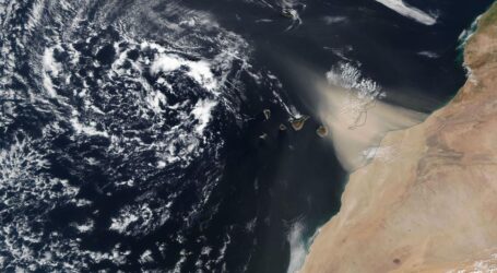 Sanidad de Canarias aconseja extremar precauciones ante la calima y altas temperaturas