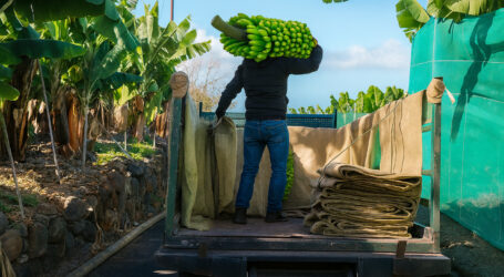 España supera los 3,55 millones de afiliados extranjeros y marca un nuevo récord