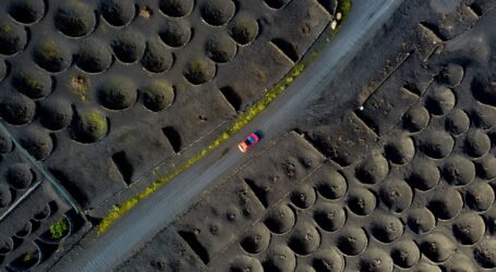 Canarias impulsa IrrigIA para transformar la gestión hídrica en la agricultura