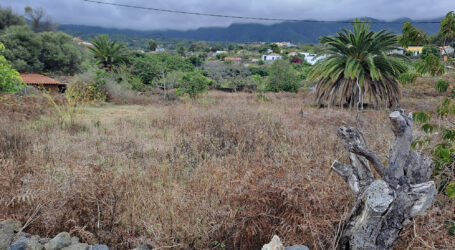 Drago Canarias propone seis medidas para recuperar tierras abandonadas en el Archipiélago