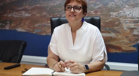 Delgado afirma que la declaración de contingencia migratoria es un paso histórico para Canarias