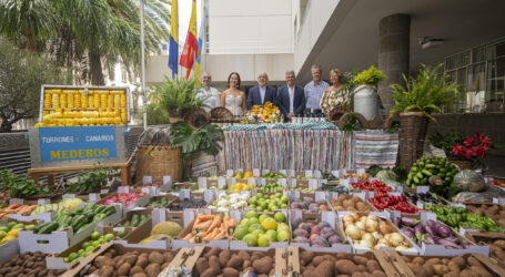 El Cabildo de Gran Canaria presenta su carreta y escaparate tradicional para la 73ª Romería-Ofrenda del Pino
