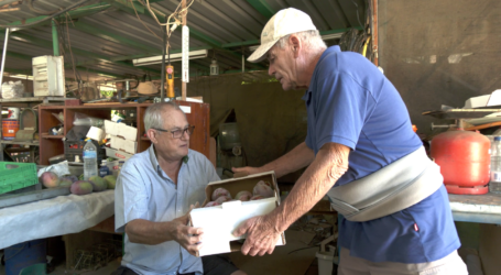 Mogán llevará lo mejor de su tierra y mar a la Romería-Ofrenda del Pino 2025