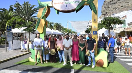 Éxito de la VIII Feria del Mango y el Aguacate de Verano en Mogán con más de 6.000 kilos vendidos