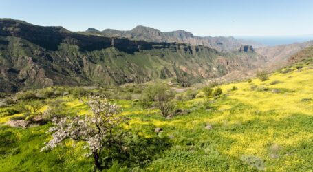 El Cabildo impulsa el ciclo ‘Saberes de mar a cumbre’ sobre gestión del territorio